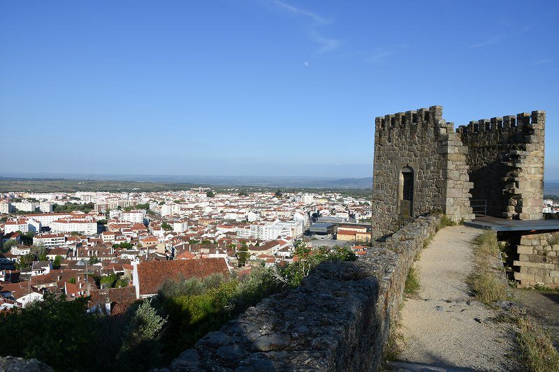 ǂƊX݁@in Portugal castelobranco