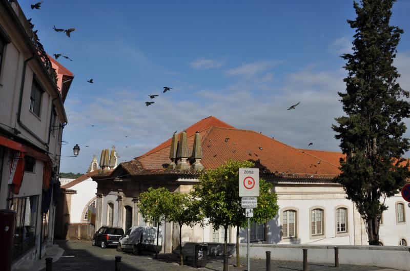 ng̏W܂鉮@in Portugal Coimbra