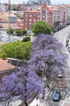 博物館屋上からの風景3・リスボン　in portugal
