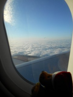 ルフトハンザの雲海とポー君