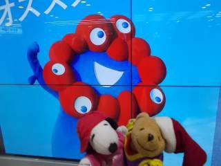 ポー君5