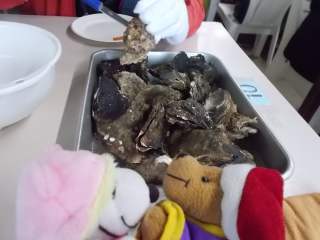 �|�[�N�Q�V