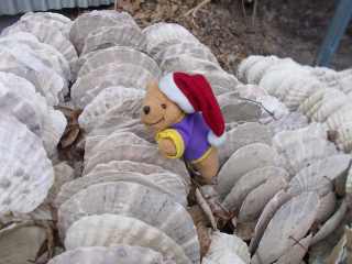 �|�[�N�R�Q