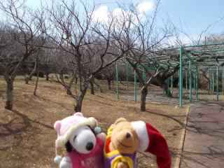 �|�[�N�P�X