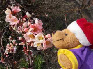 �|�[�N�R�V