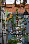 飾られた通り3・セトゥーバル　in portugal